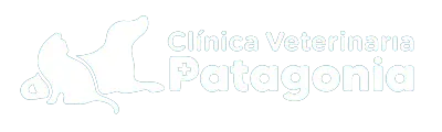 Logo Patagonia